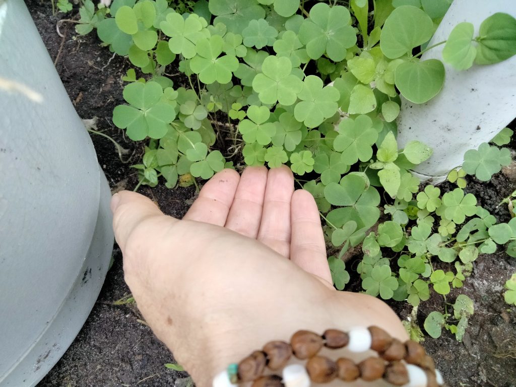 This image has an empty alt attribute; its file name is 680-1024x768.jpg